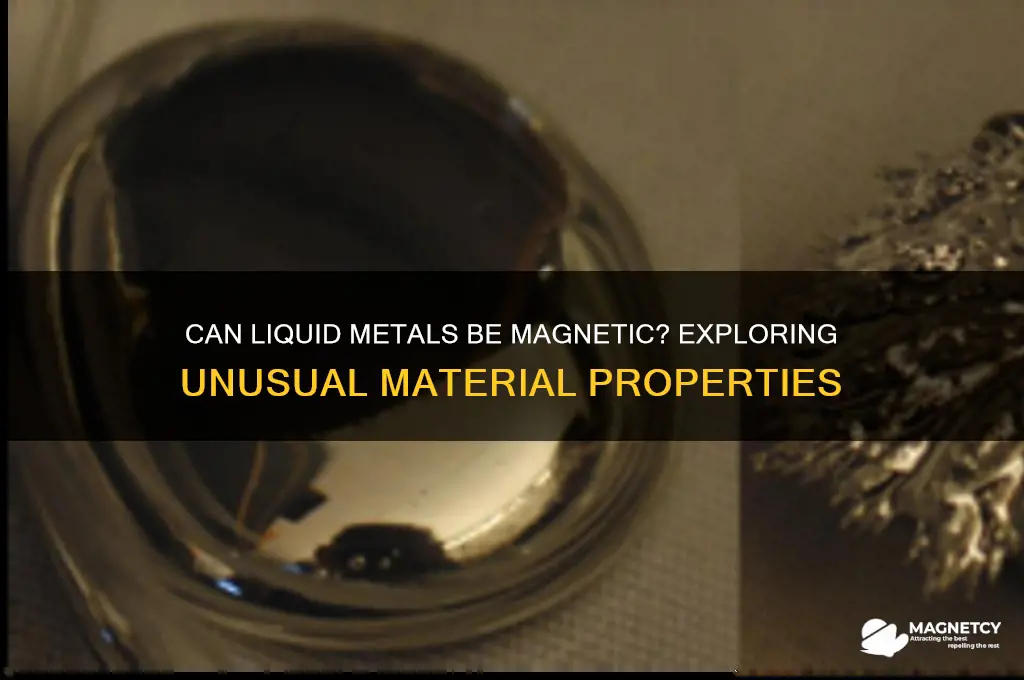 can a liquid metal be magnetic