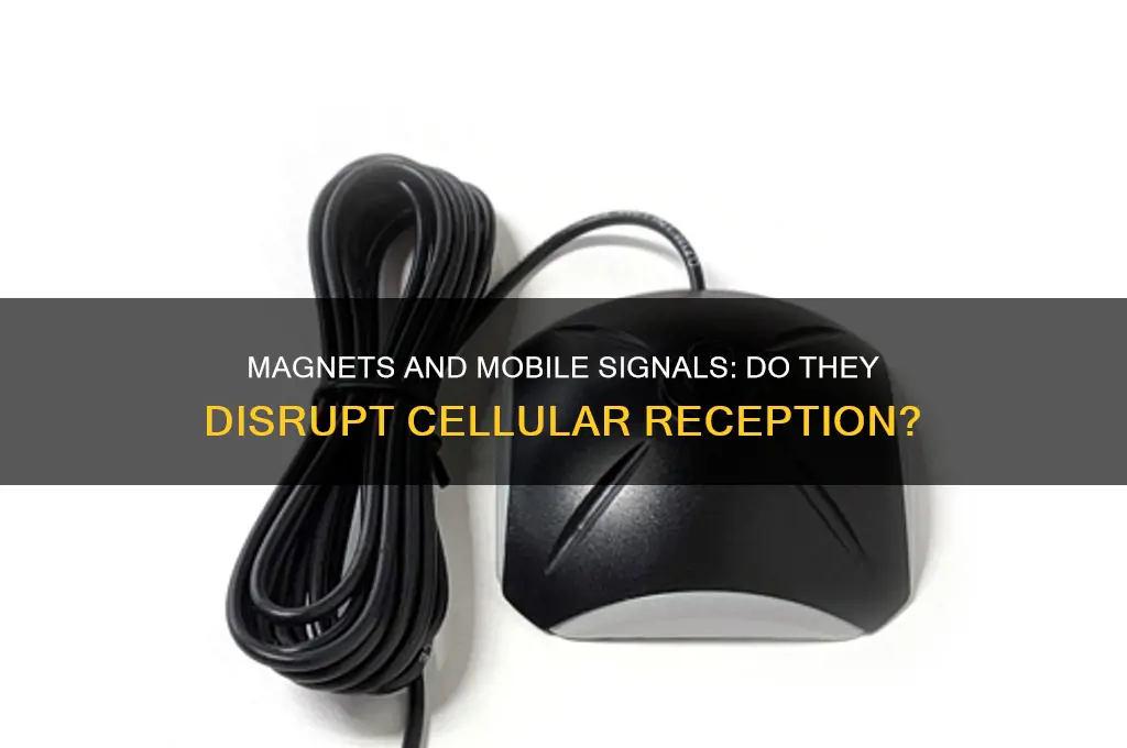 can a magnet affect cellular reception