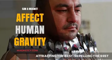 Magnets and Human Gravity: Unraveling the Myth and Science