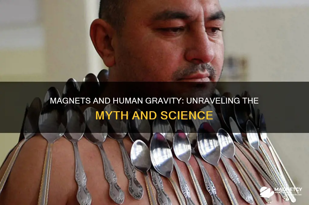 can a magnet affect human gravity