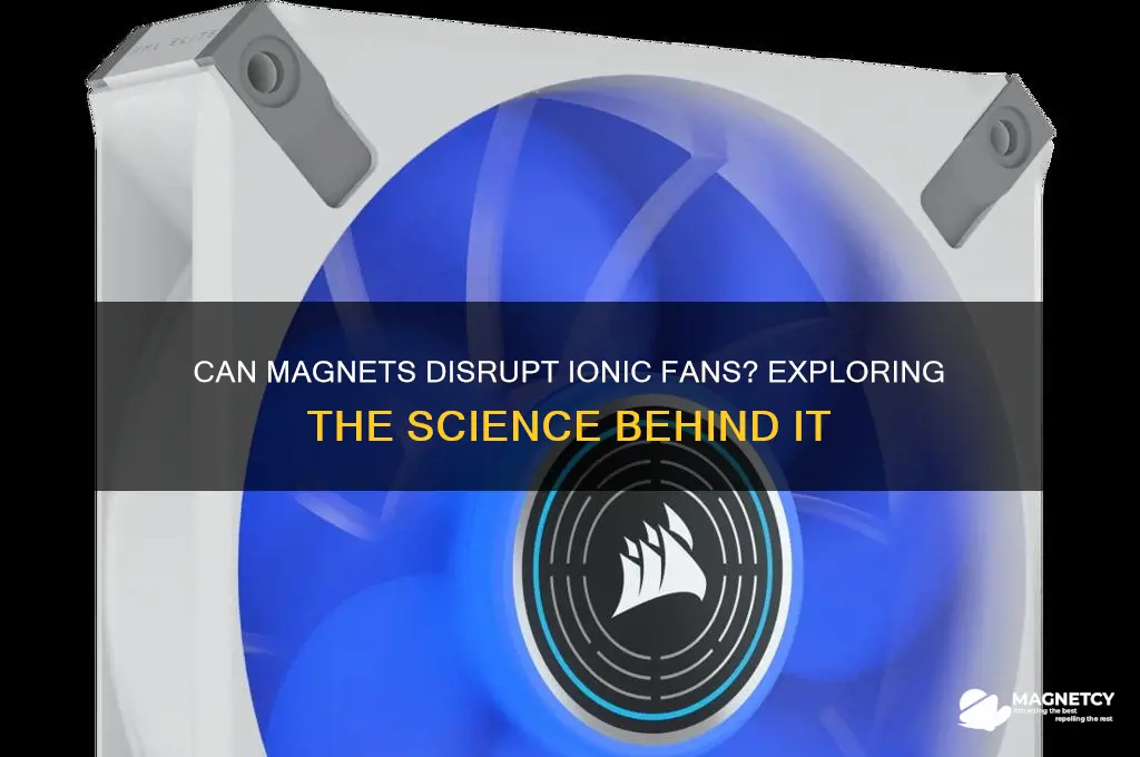 can a magnet affect ionic fan