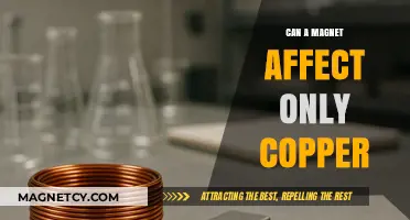 Magnetic Influence: Can Magnets Specifically Interact with Copper?
