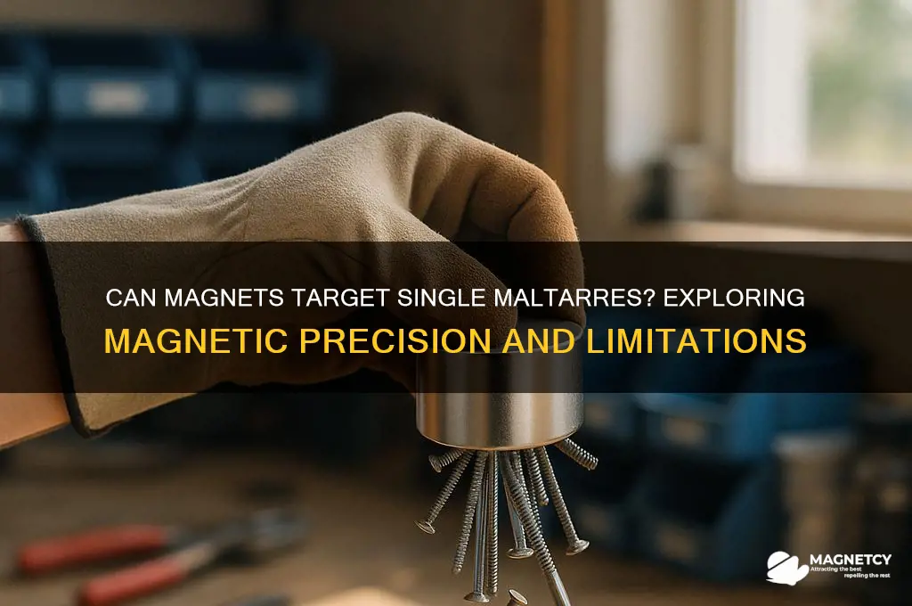 can a magnet affect only one maltarres