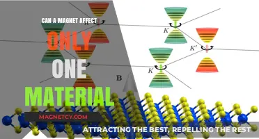 Can Magnets Selectively Influence Specific Materials? Exploring Magnetic Properties