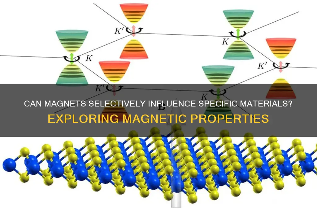 can a magnet affect only one material
