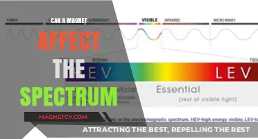 Magnetic Influence on Light: Exploring Spectrum Alterations by Magnets