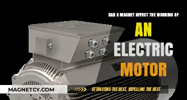 Magnetic Influence: How Magnets Impact Electric Motor Performance