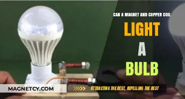 Magnet and Copper Coil: Powering a Light Bulb?