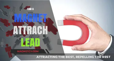 Can Magnets Attract Lead? Exploring Magnetic Properties and Metal Interactions