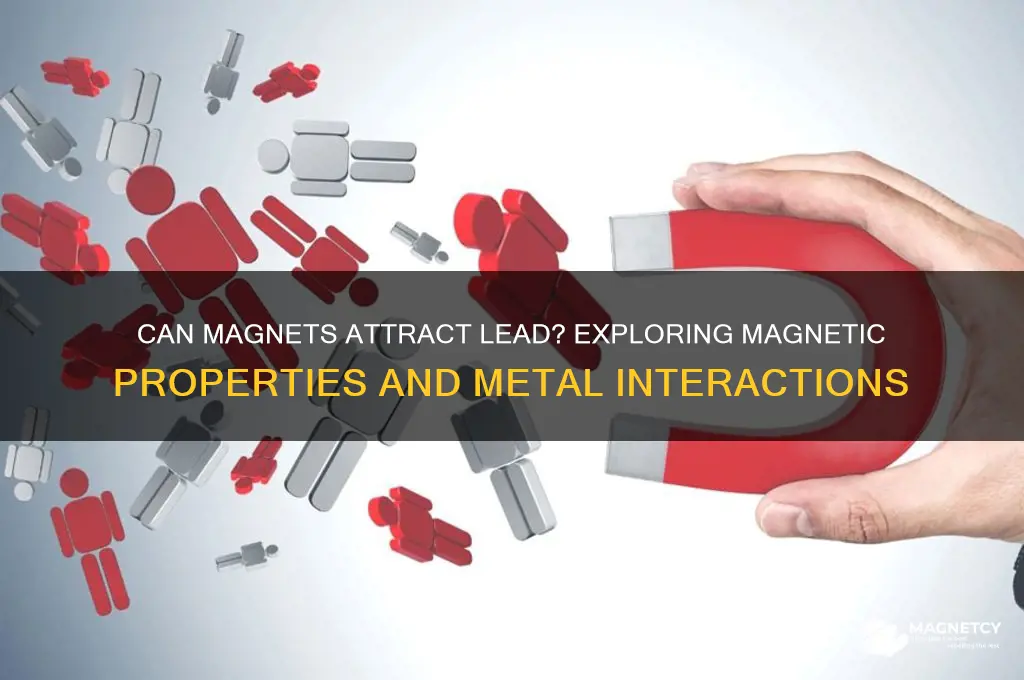 can a magnet attrach lead