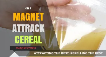 Can Magnets Attract Cereal? Unraveling the Science Behind Breakfast Myths