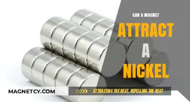 Magnetic Attraction: Does Nickel Respond to a Magnet's Pull?