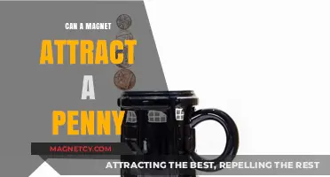 Can Magnets Attract Pennies? Unveiling the Metal Mystery in Coins