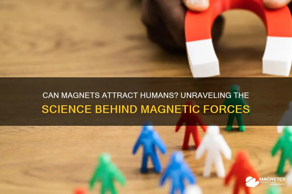 can a magnet attract a person