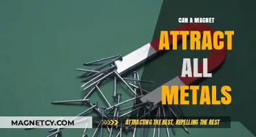 Do Magnets Attract All Metals? Unveiling the Magnetic Truth