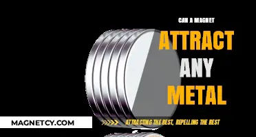 Magnetism Explained: Which Metals Are Attracted to Magnets?