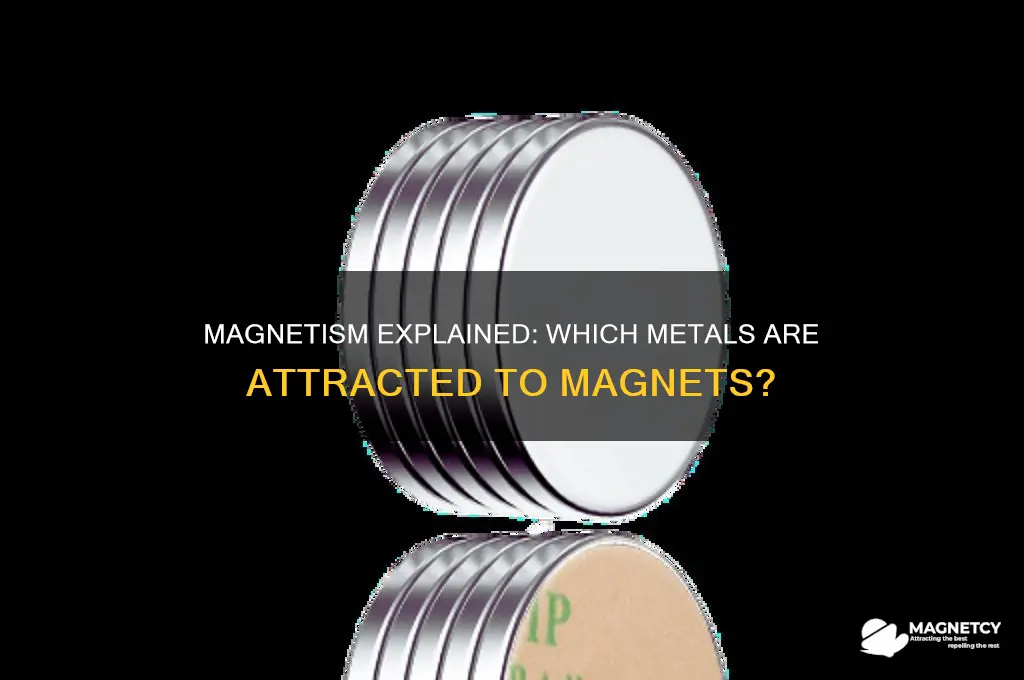 can a magnet attract any metal