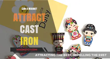 Magnetic Attraction: Can Magnets Pull Cast Iron Objects?