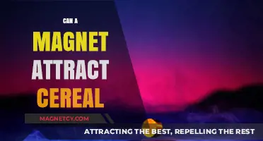 Can Magnets Attract Cereal? Unraveling the Science Behind Breakfast