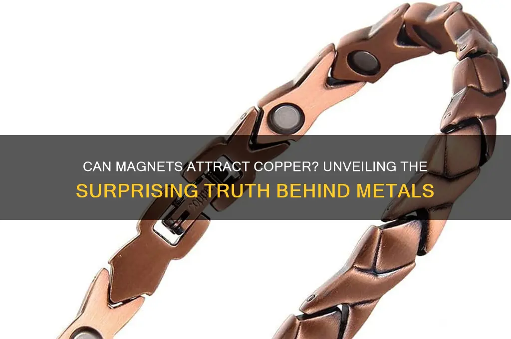 can a magnet attract copper