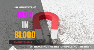 Can Magnets Attract Iron in Blood? Unraveling the Science Behind It