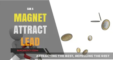 Can Magnets Attract Lead? Unraveling the Science Behind Magnetic Forces