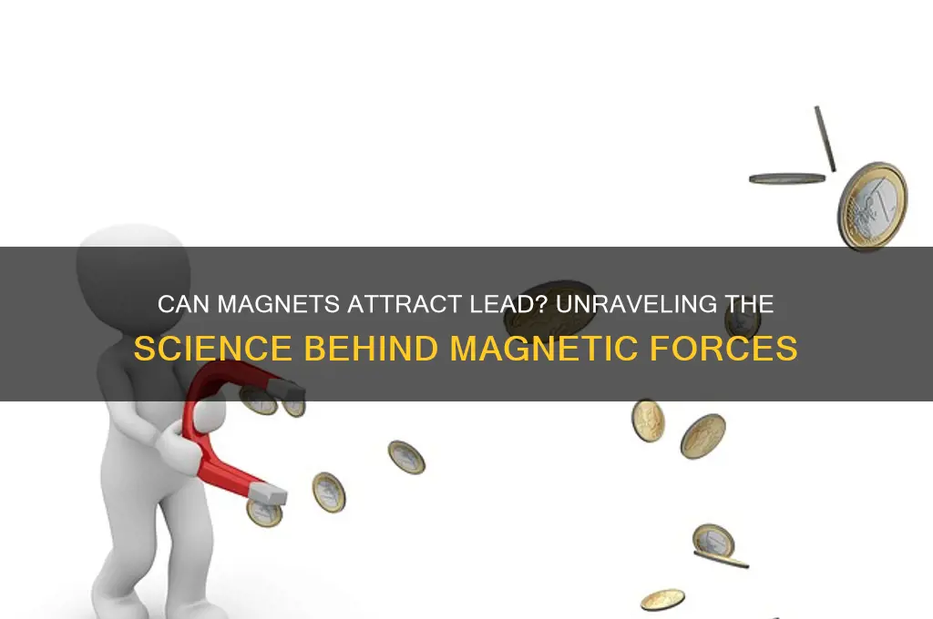 can a magnet attract lead