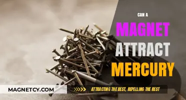 Can Magnets Attract Mercury? Unveiling the Surprising Truth