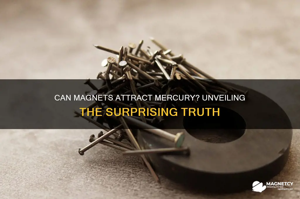 can a magnet attract mercury