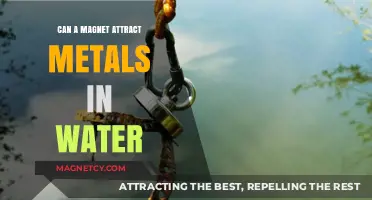 Magnetic Pull: Can Magnets Attract Metals Submerged in Water?