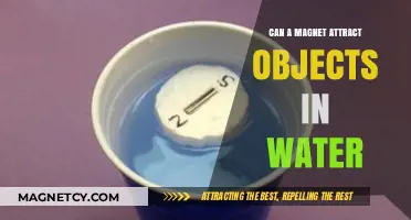 Magnetic Mysteries: Can Magnets Attract Objects Submerged in Water?