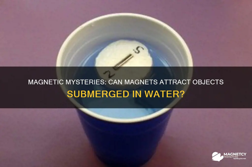 can a magnet attract objects in water