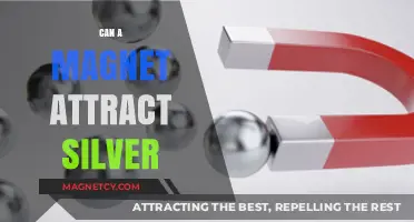 Does Silver Respond to Magnets? Unveiling the Truth About Magnetic Attraction