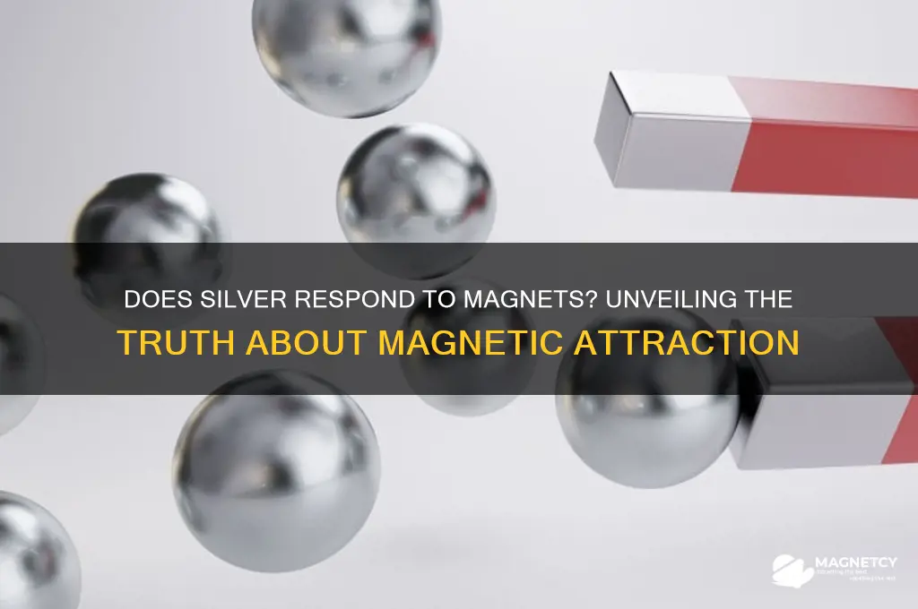 can a magnet attract silver
