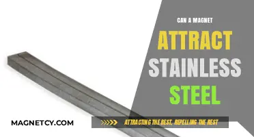 Can Magnets Attract Stainless Steel? Unveiling the Magnetic Mystery
