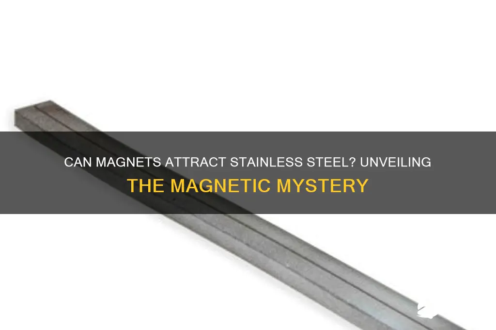 can a magnet attract stainless steel