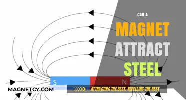 Can Magnets Attract Steel? Exploring Magnetic Properties and Interactions