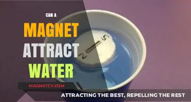 Can Magnets Attract Water? Unraveling the Science Behind the Myth