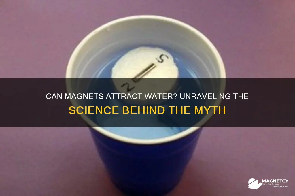 can a magnet attract water