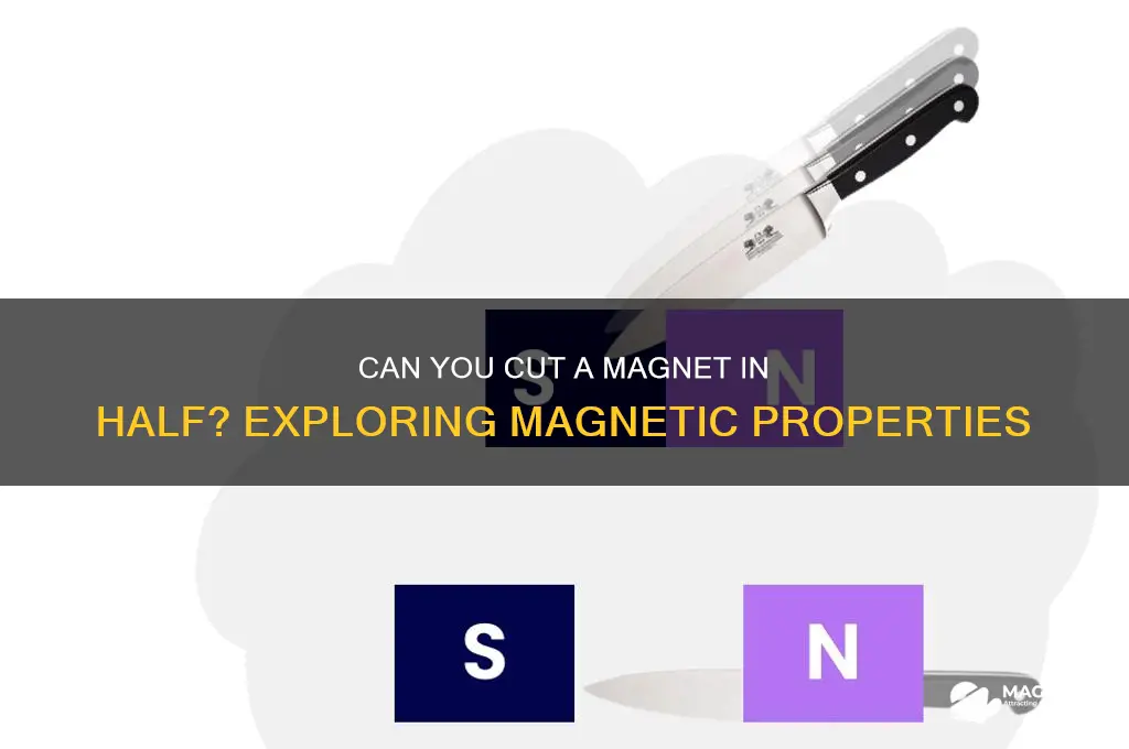 can a magnet be cut in half