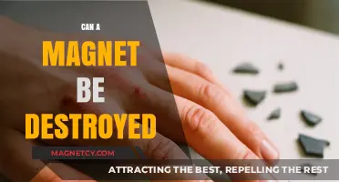 Can Magnets Be Destroyed? Exploring Their Durability and Limitations