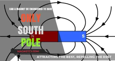Engineering a Magnet with Only a South Pole: Is It Possible?