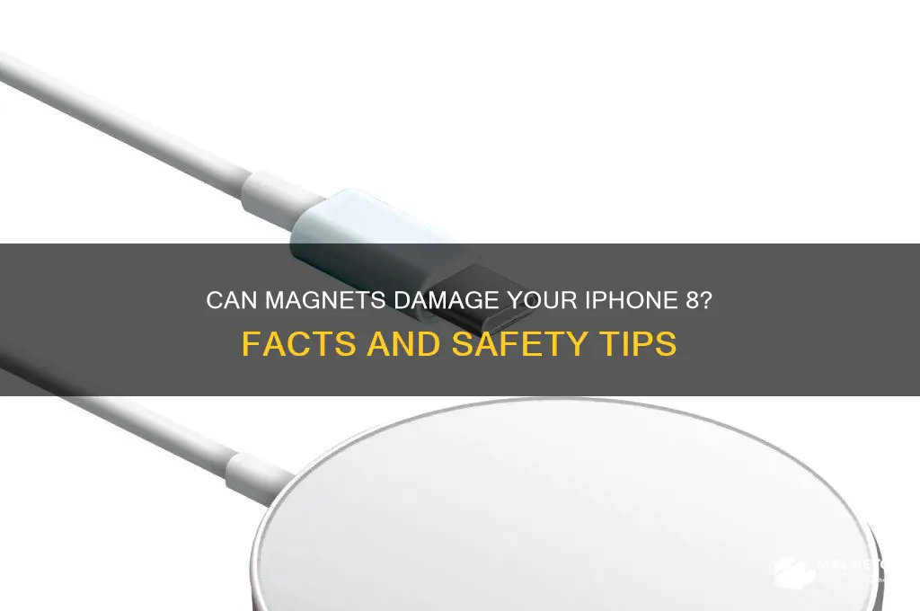 can a magnet be put on an iphone 8