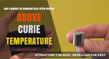 Remagnetizing Magnets Post-Curie Temperature: Is Recovery Possible After Heating?