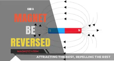Reversing Magnets: Can Polarity Be Flipped or Changed?