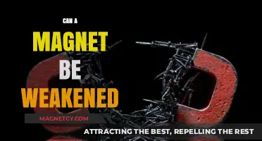 Can Magnets Lose Their Strength? Exploring Magnet Weakening Factors