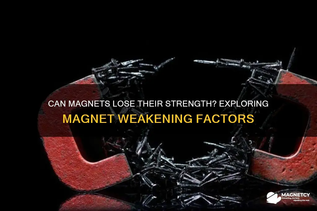 can a magnet be weakened