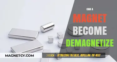 Can Magnets Lose Their Power? Understanding Demagnetization Risks