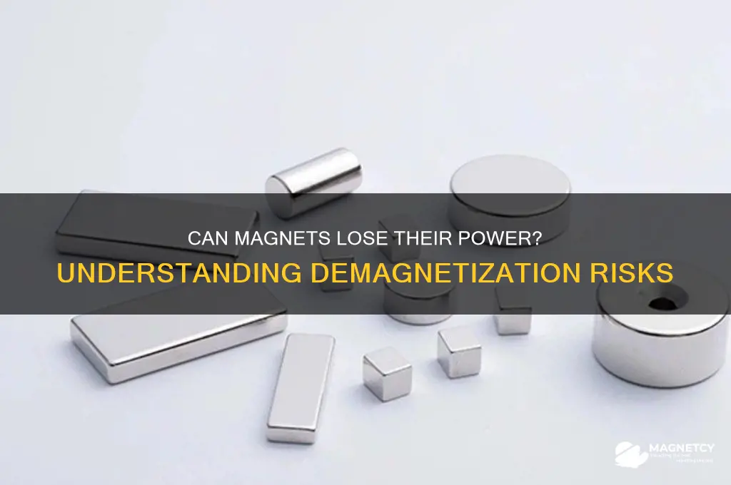 can a magnet become demagnetized