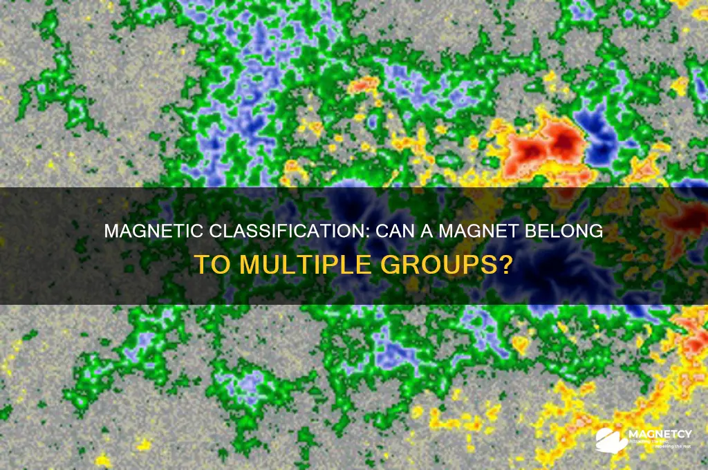 can a magnet belong to more than one group